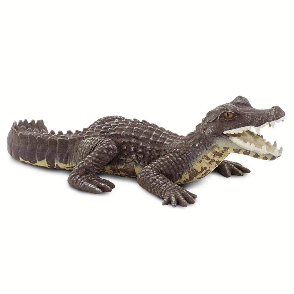 Safari Ltd. - Caiman Kids Toy Figure