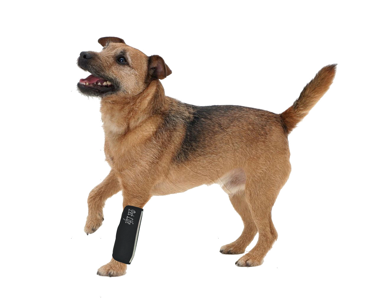 Pet Life ® Extreme-Neoprene Joint Protective Reflective Sleeves