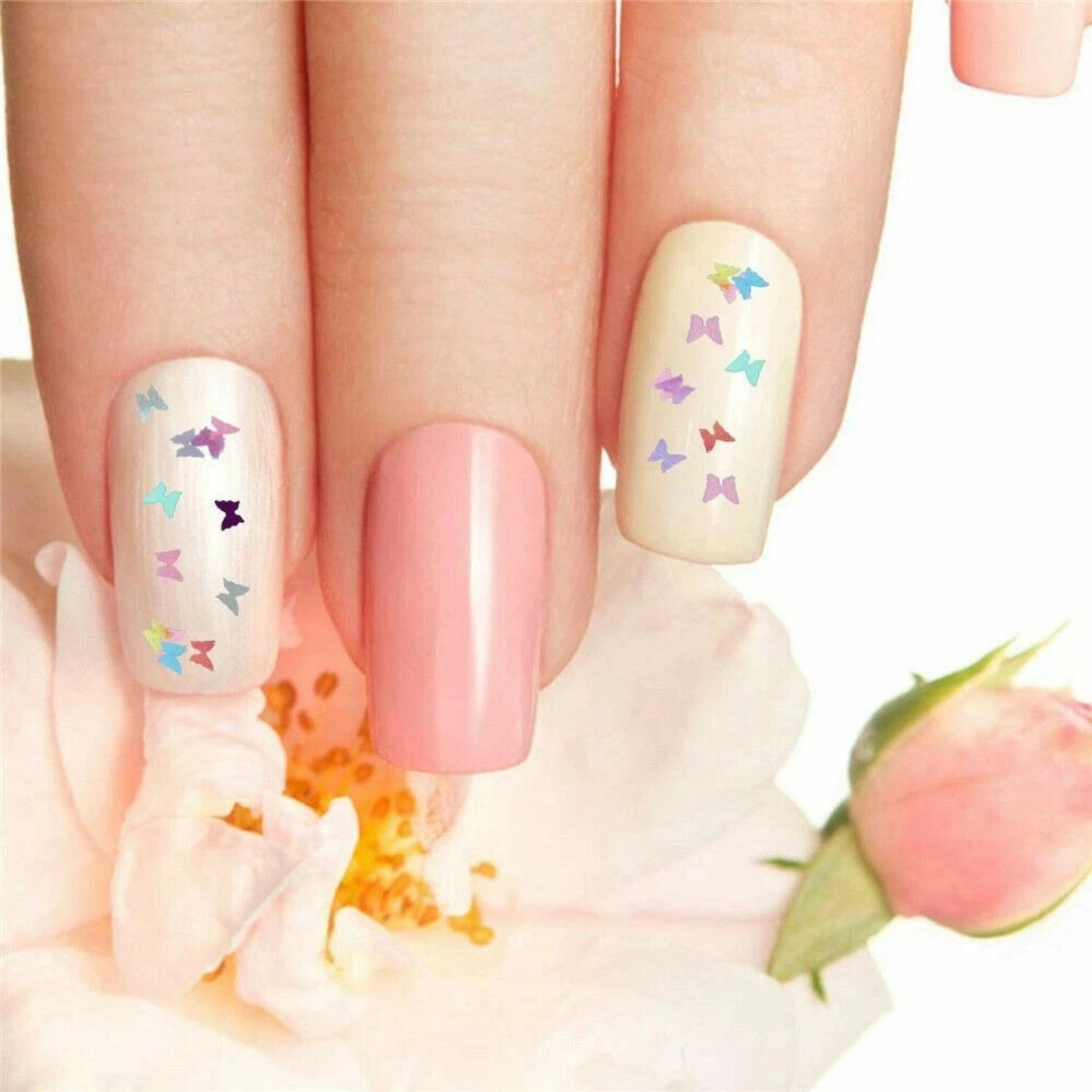 Home Collection Holographic Butterfly Nail Glitter Sequins 24 Grid Set