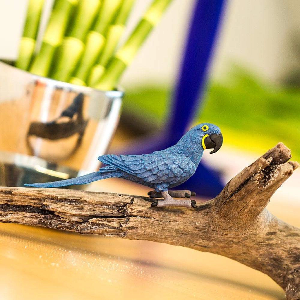 Safari Ltd. - Hyacinth Macaw Kids Toy Figure
