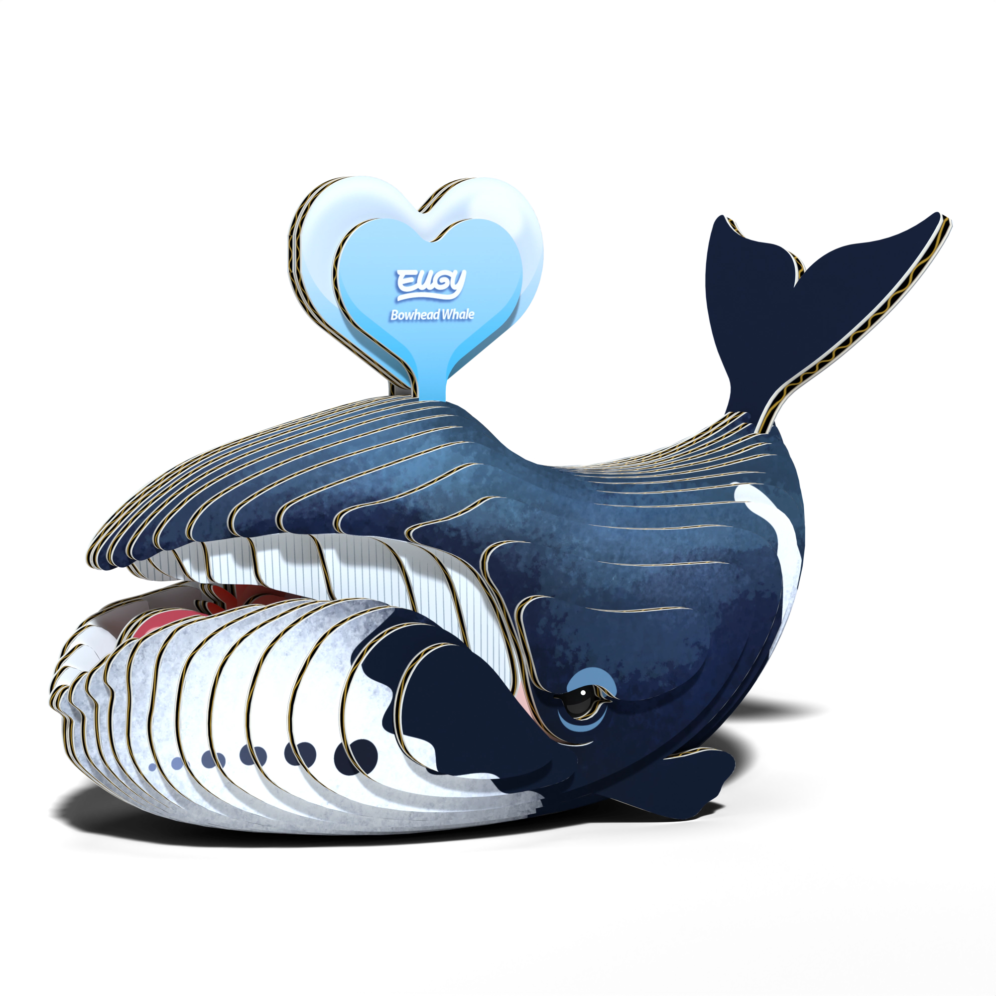 EUGY Bowhead Whale 3D Puzzle - contains 31 puzzle pieces