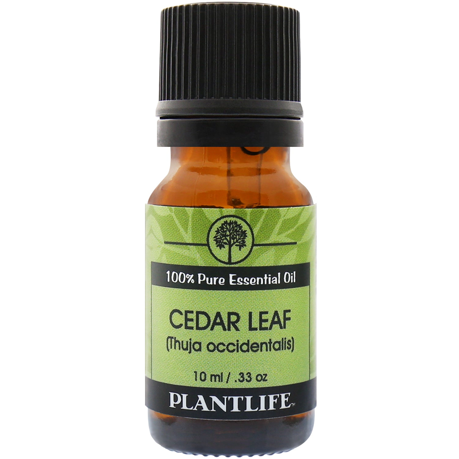 Plantlife Cedar Leaf Essential Oil