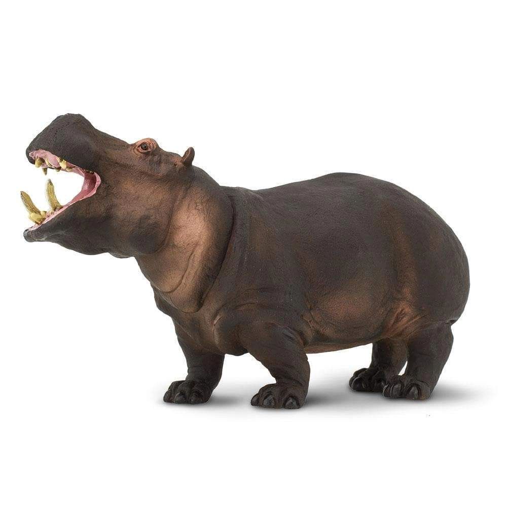 Safari Ltd. - Hippopotamus Kids Toy Figure