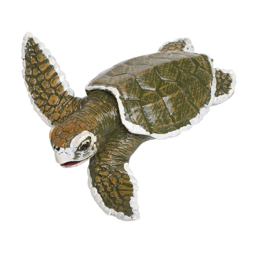 Safari Ltd. - Kemp's Ridley Sea Turtle Baby Kids Toy Figure