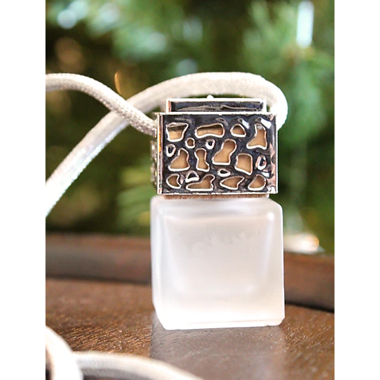 Plantlife Silver Hanging Passive Diffuser