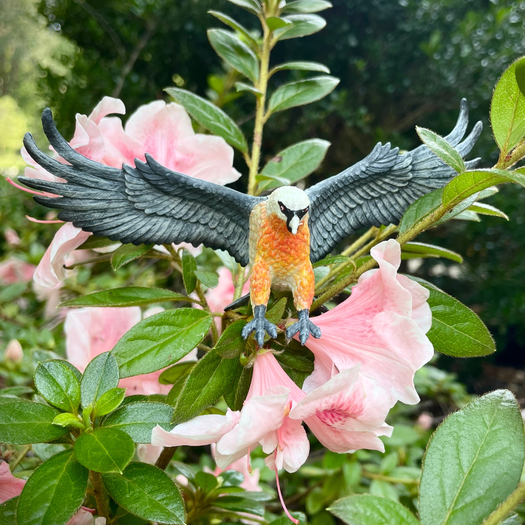 Safari Ltd. - Bearded Vulture Kids Toy Figure
