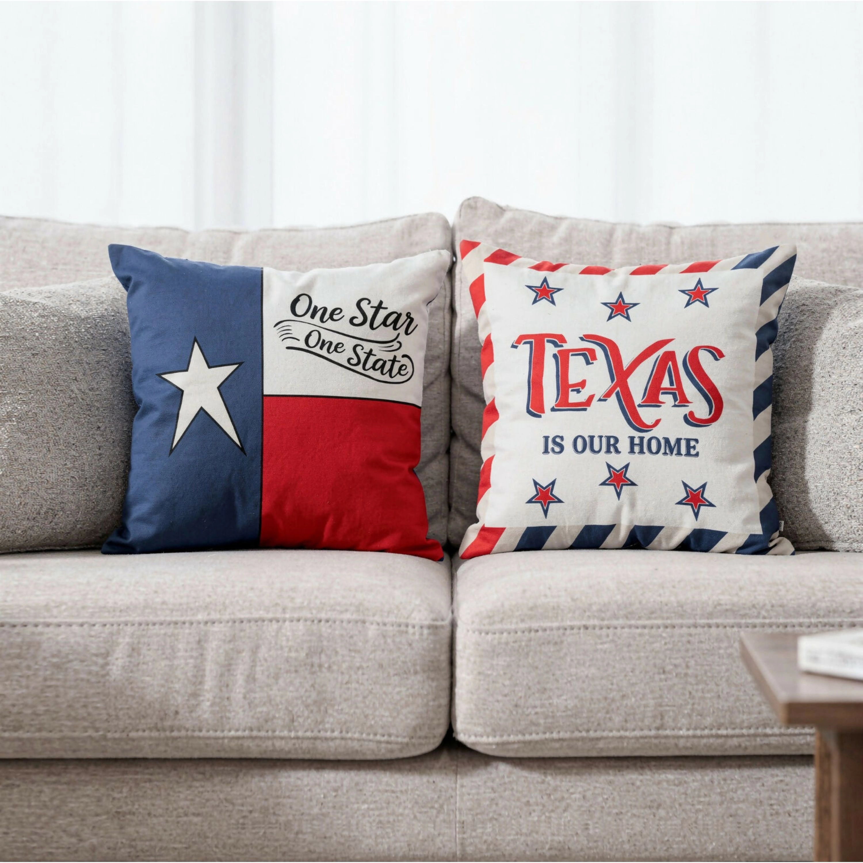 Wear Sierra Texas Themed Set of 2 Throw Pillow Covers