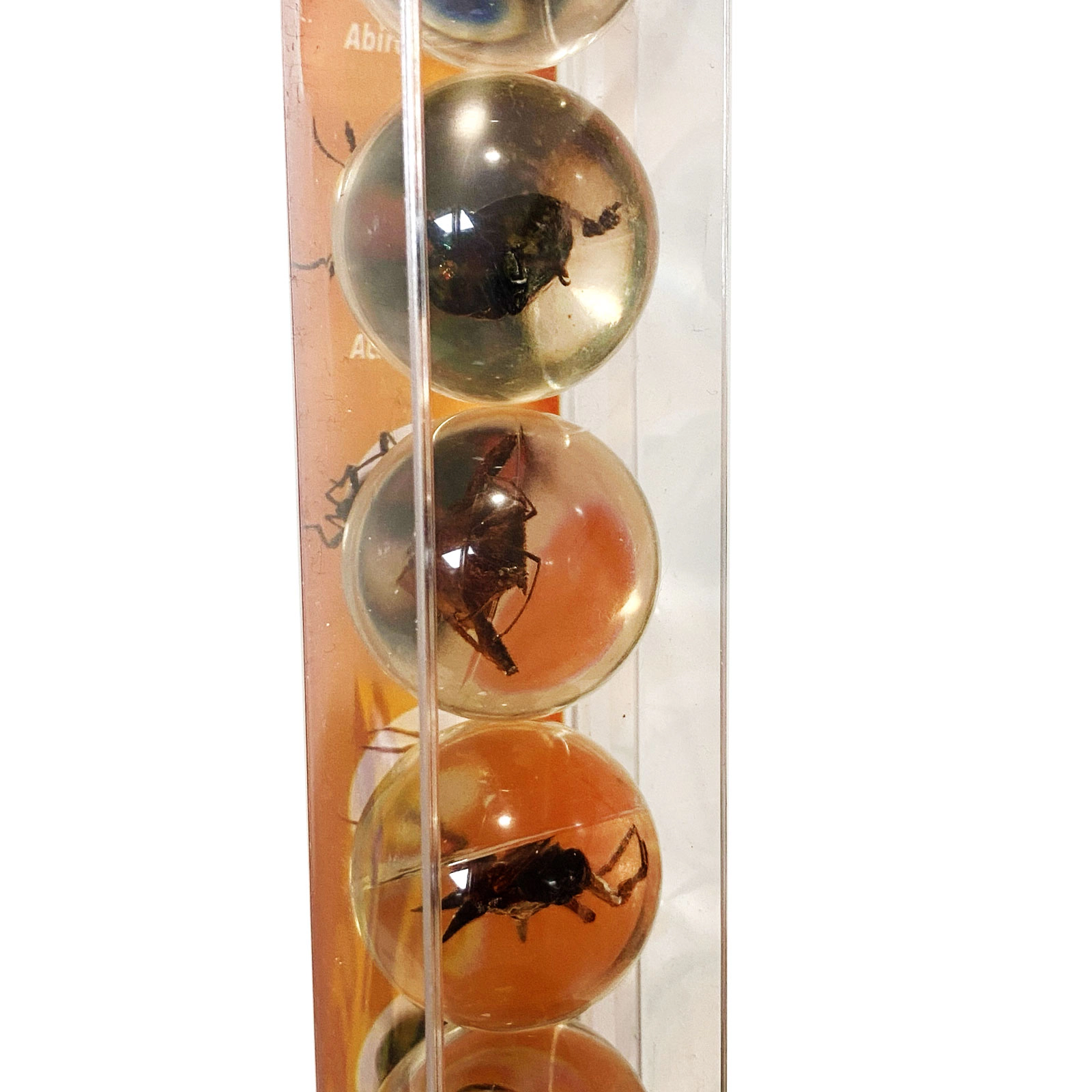 Geoworld - Bug Marbles - Kids Toy Set