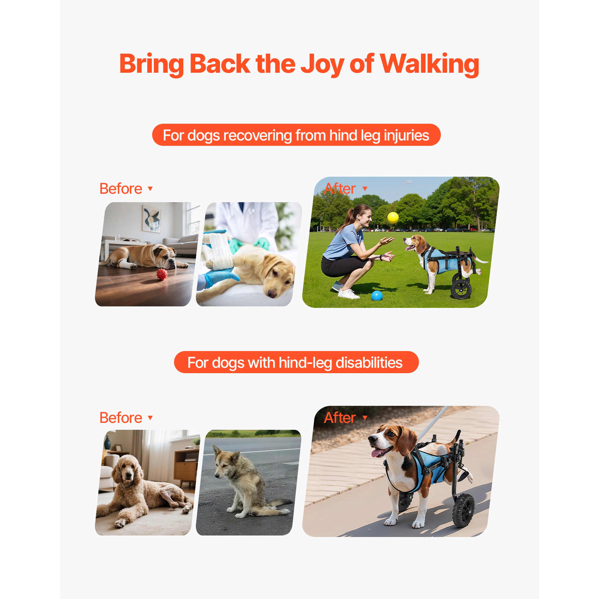 HONGGE Dog Wheelchair for Back Legs Adjustable 2 Wheels Pet Wheelchair Lightweight Dog Cart with Shock-Absorbing Wheels
