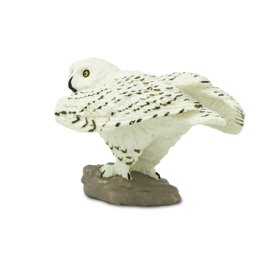 Safari Ltd. - Snowy Owl Kids Toy Figure
