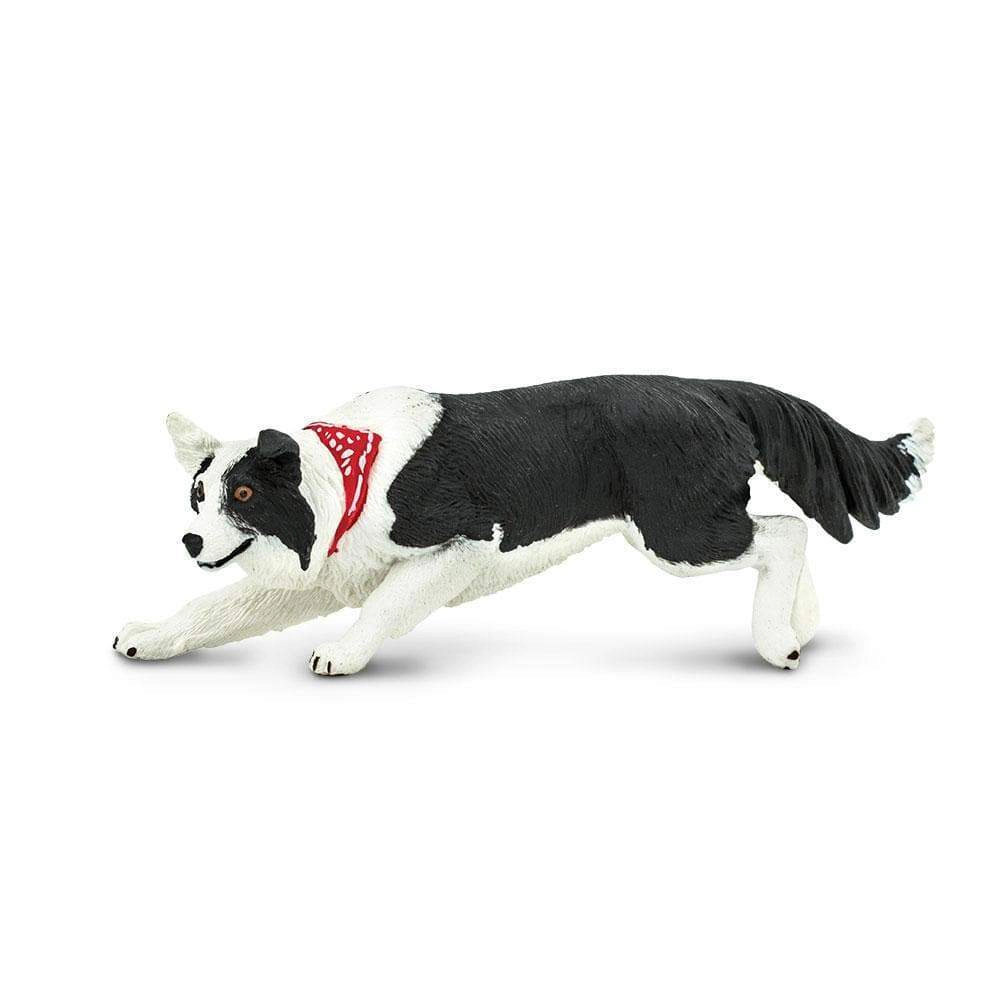 Safari Ltd. - Border Collie Kids Toy Figure