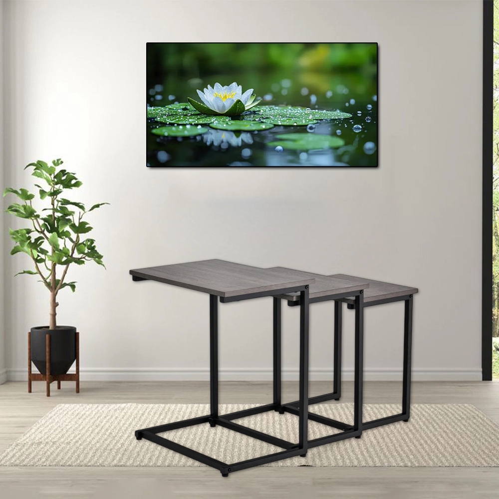 Hivvago 3-Piece Contemporary Coffee and Side Table Ensemble