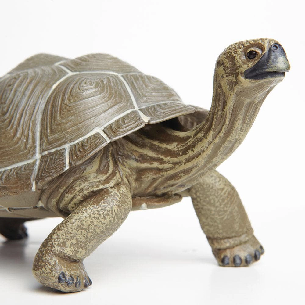 Safari Ltd. - Tortoise Kids Toy Figure