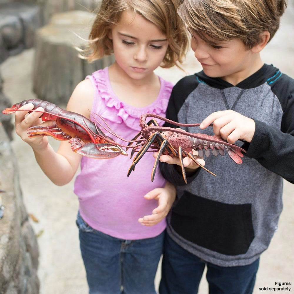 Safari Ltd. - Maine Lobster Kids Toy Figure