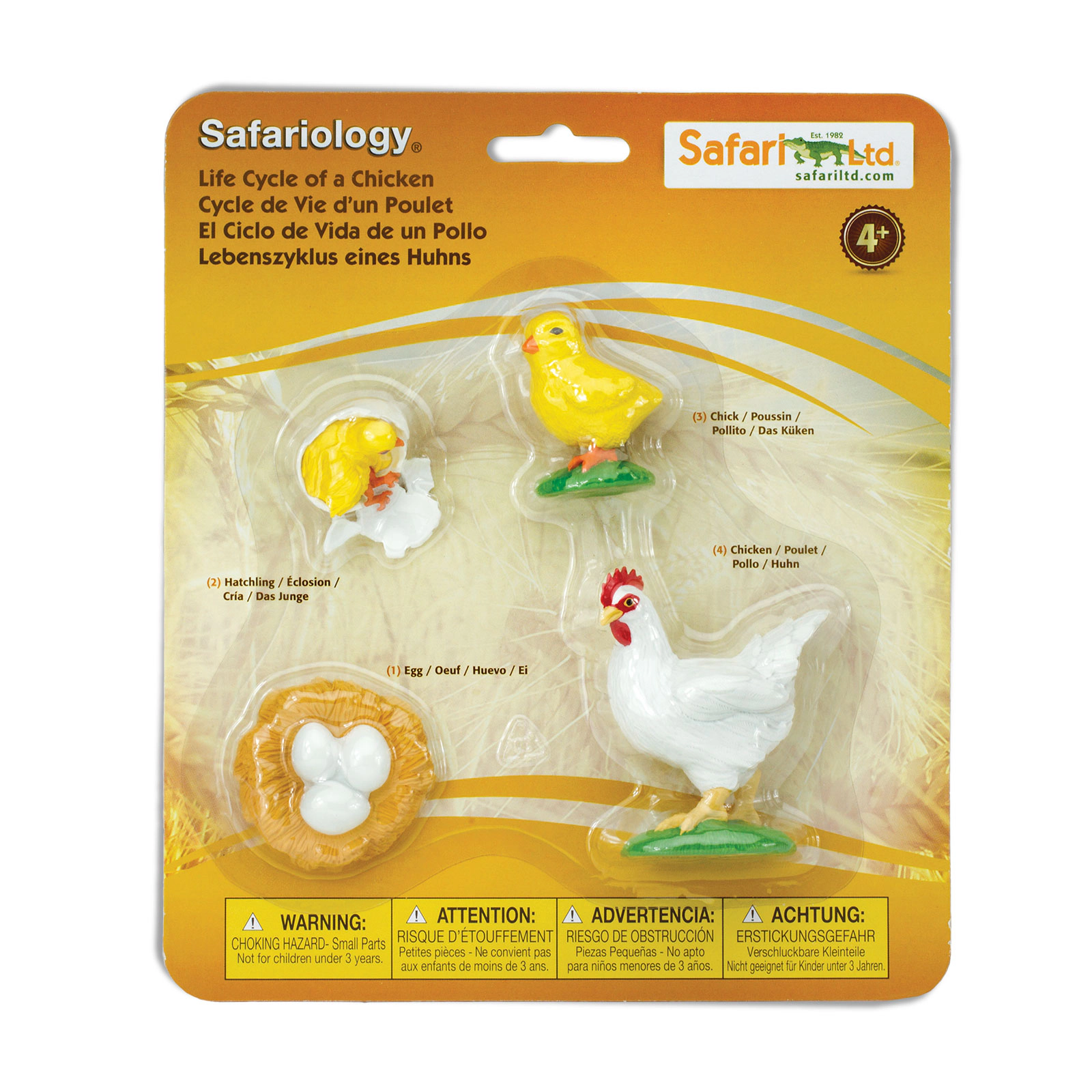 Safari Ltd. - Life Cycle of a Chicken - Miniature Lifecycle Collection Toy
