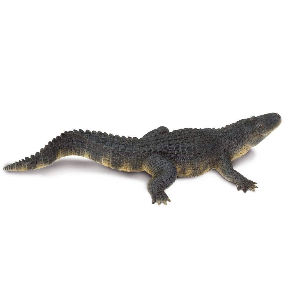 Safari Ltd. - Alligator Kids Toy Figure