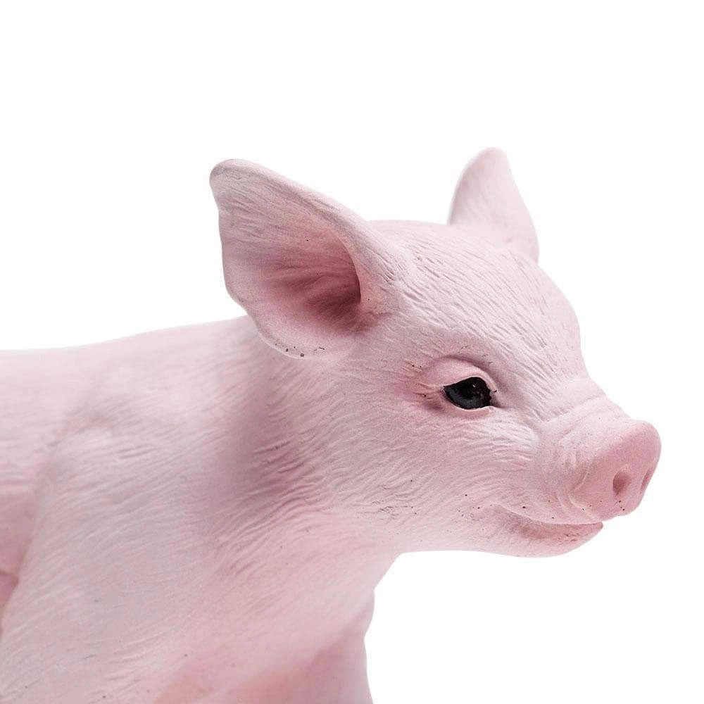 Safari Ltd. - Piglet Kids Toy Figure