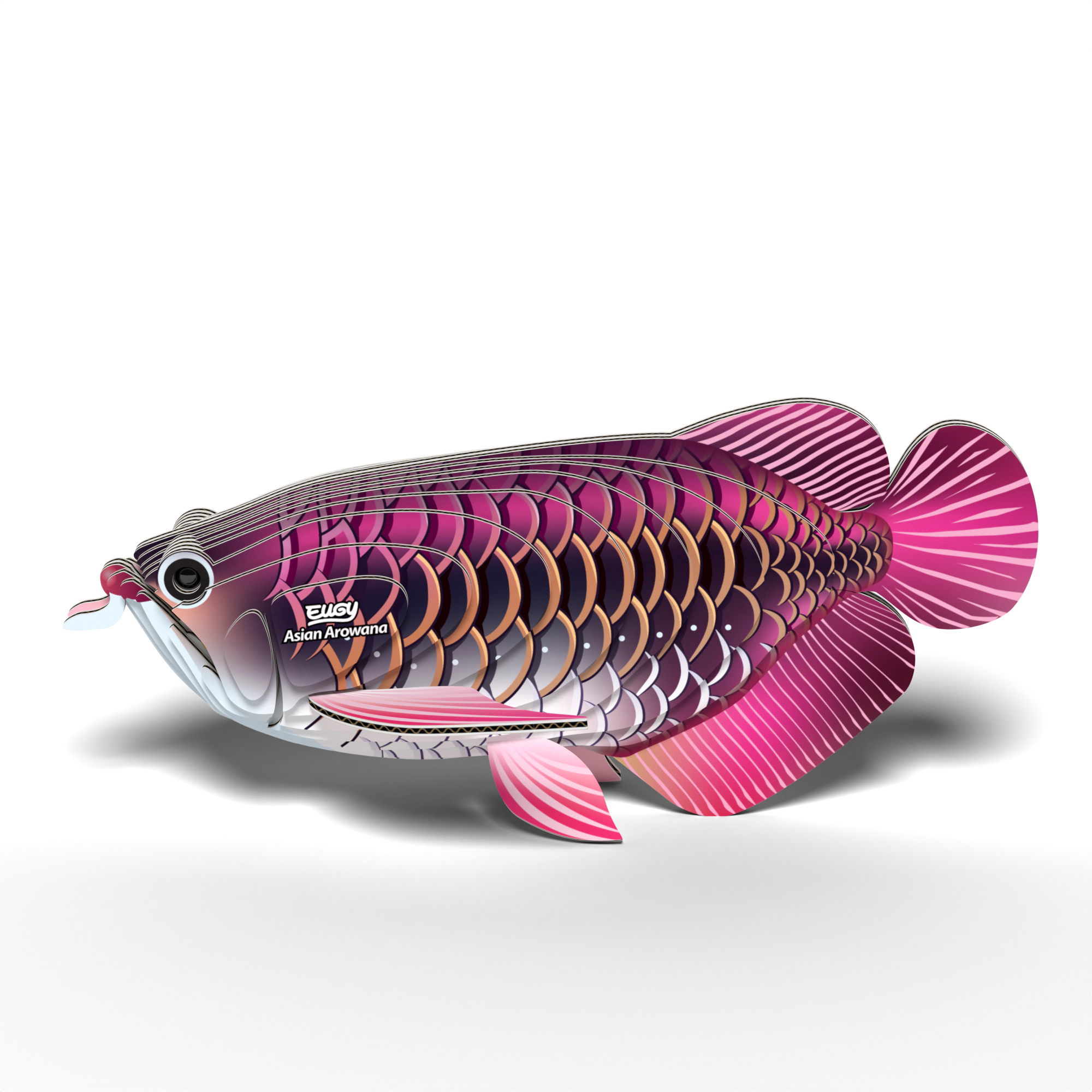 EUGY Asian Arowana 3D Puzzle - contains 24 puzzle pieces
