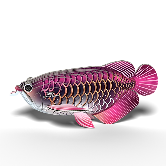 EUGY Asian Arowana 3D Puzzle - contains 24 puzzle pieces