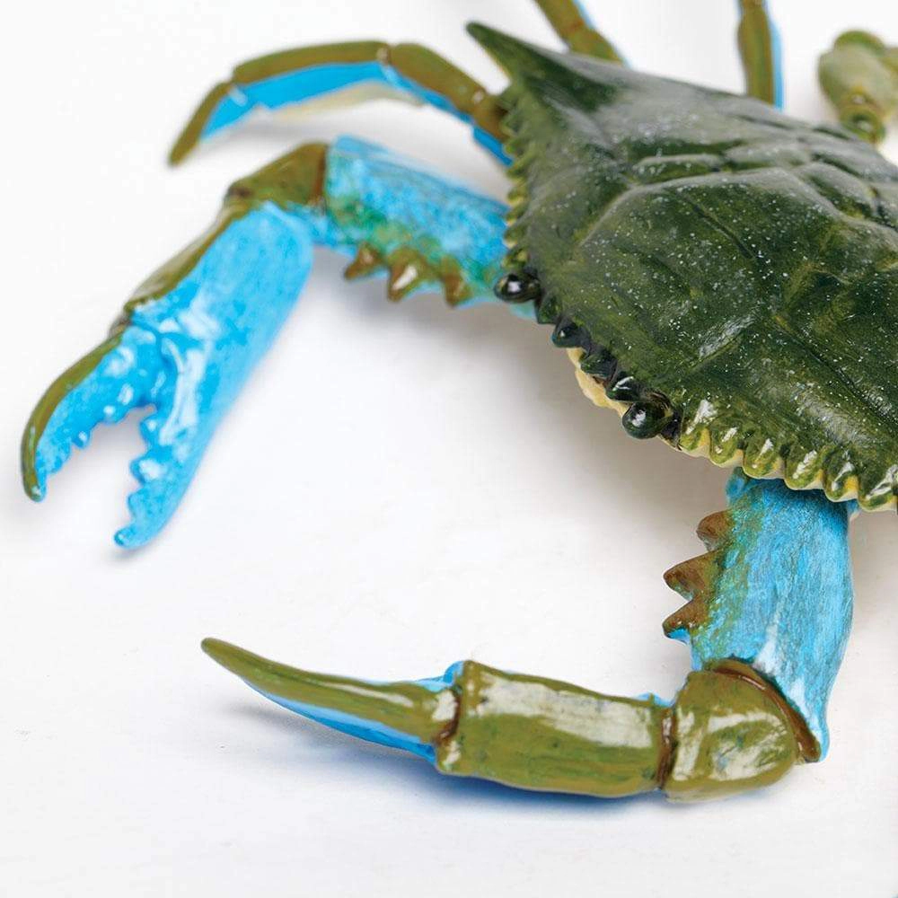 Safari Ltd. - Blue Crab Kids Toy Figure