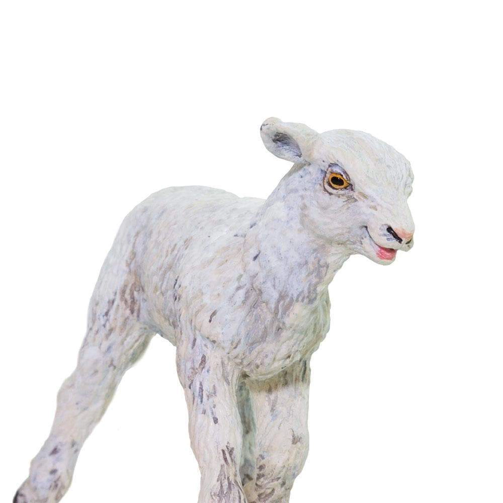 Safari Ltd. - Lamb Kids Toy Figure