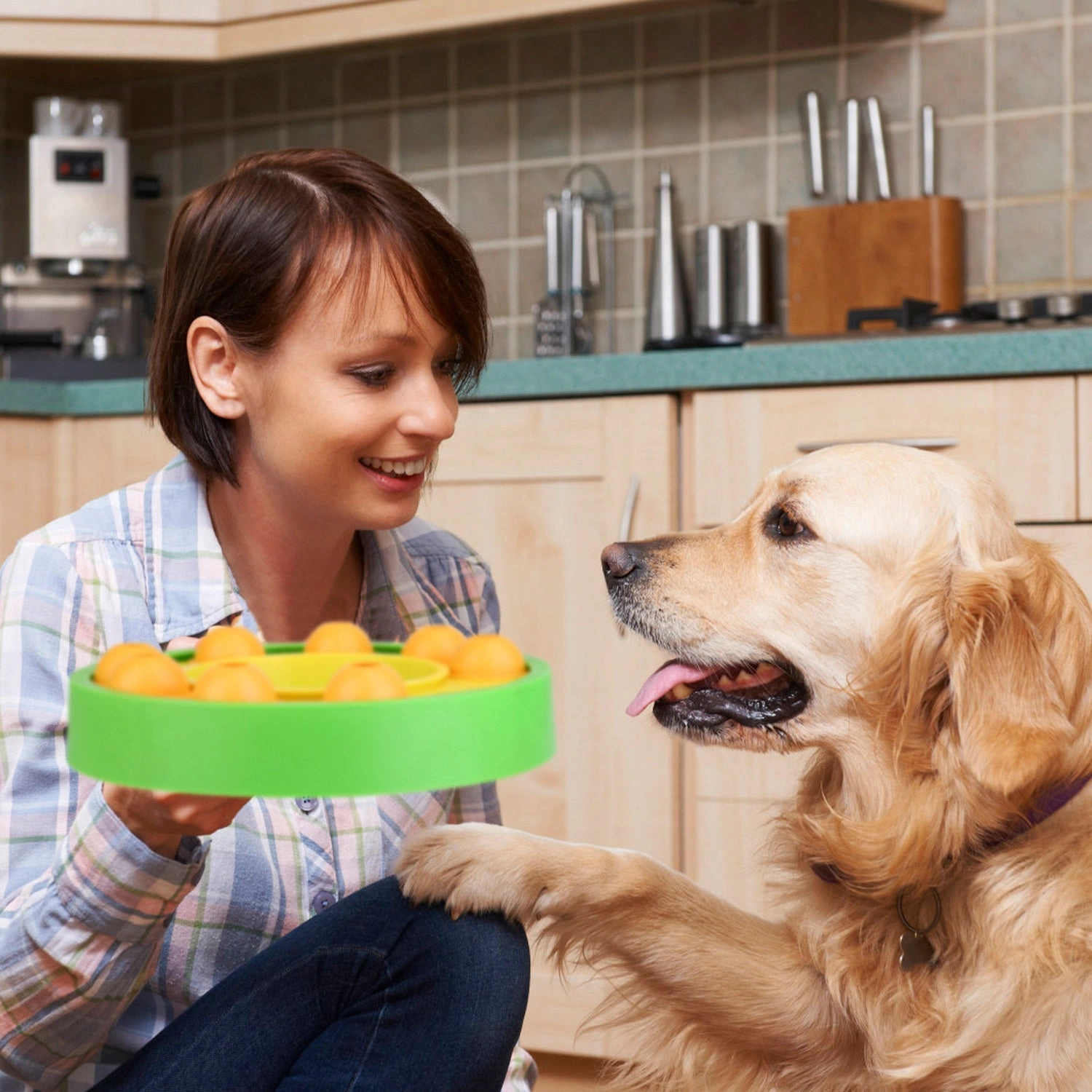 GBruno Interactive Puzzle Dog Food Feeder Slow Bowl