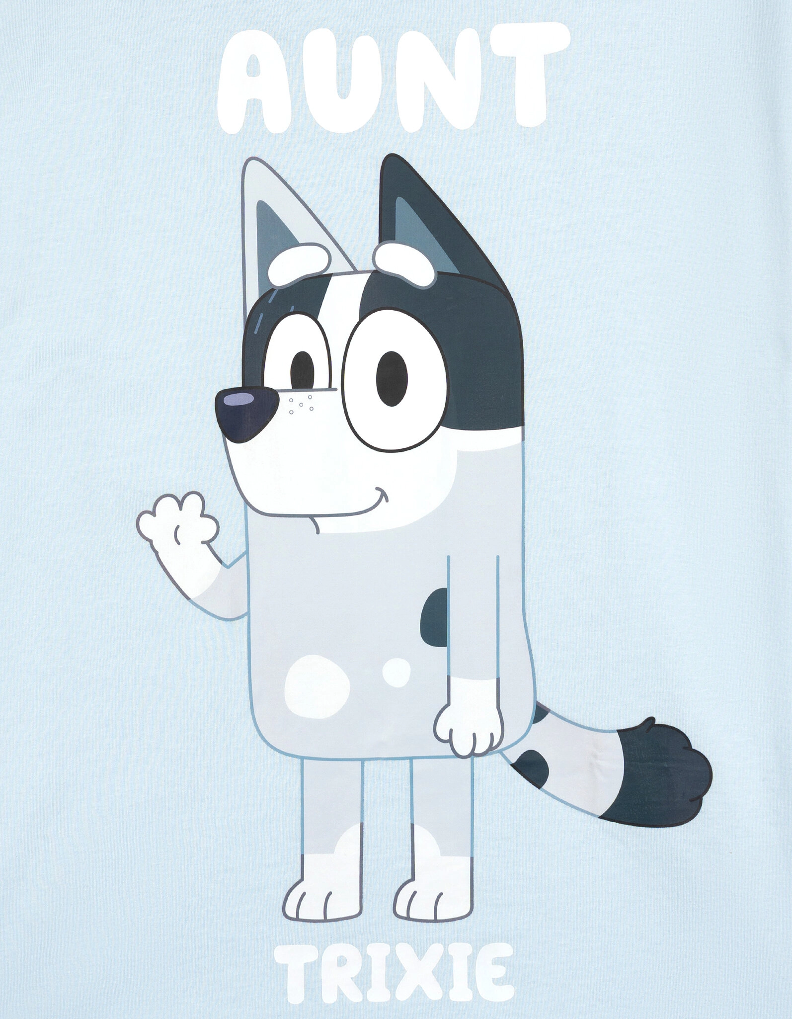 Bluey Matching Family Short Sleeve T-Shirt