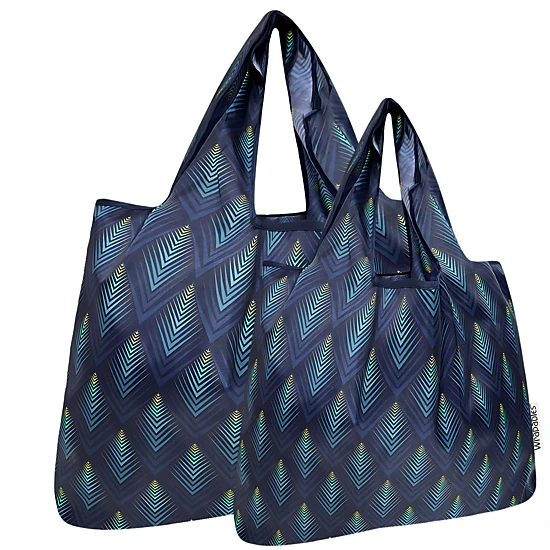 Wrapables LS Nylon Reusable Shopping Bags for Groceries (set of 2), Blue Echo