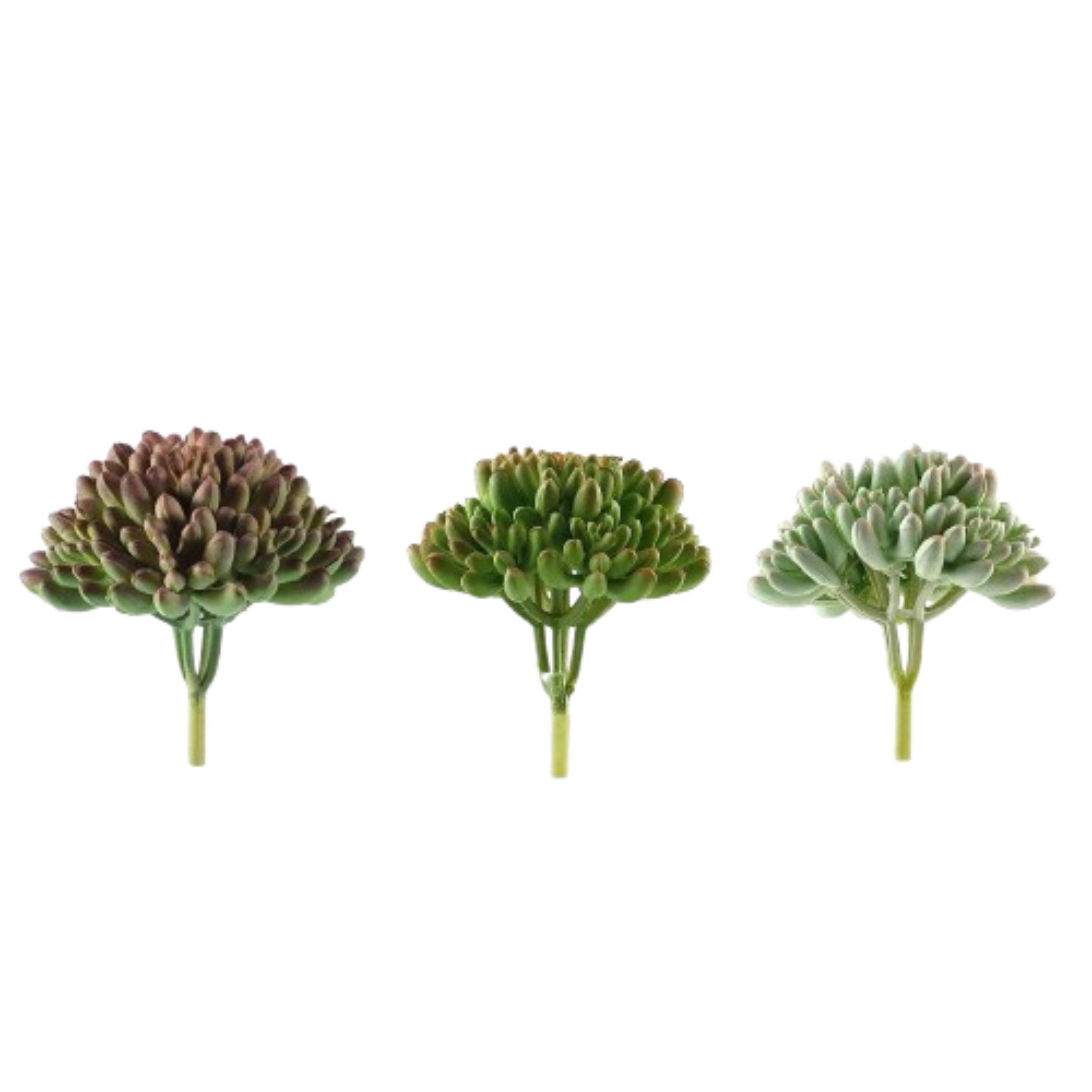 Home Collection Set of 3 4-Inch Artificial Jelly Bean Succulent Picks