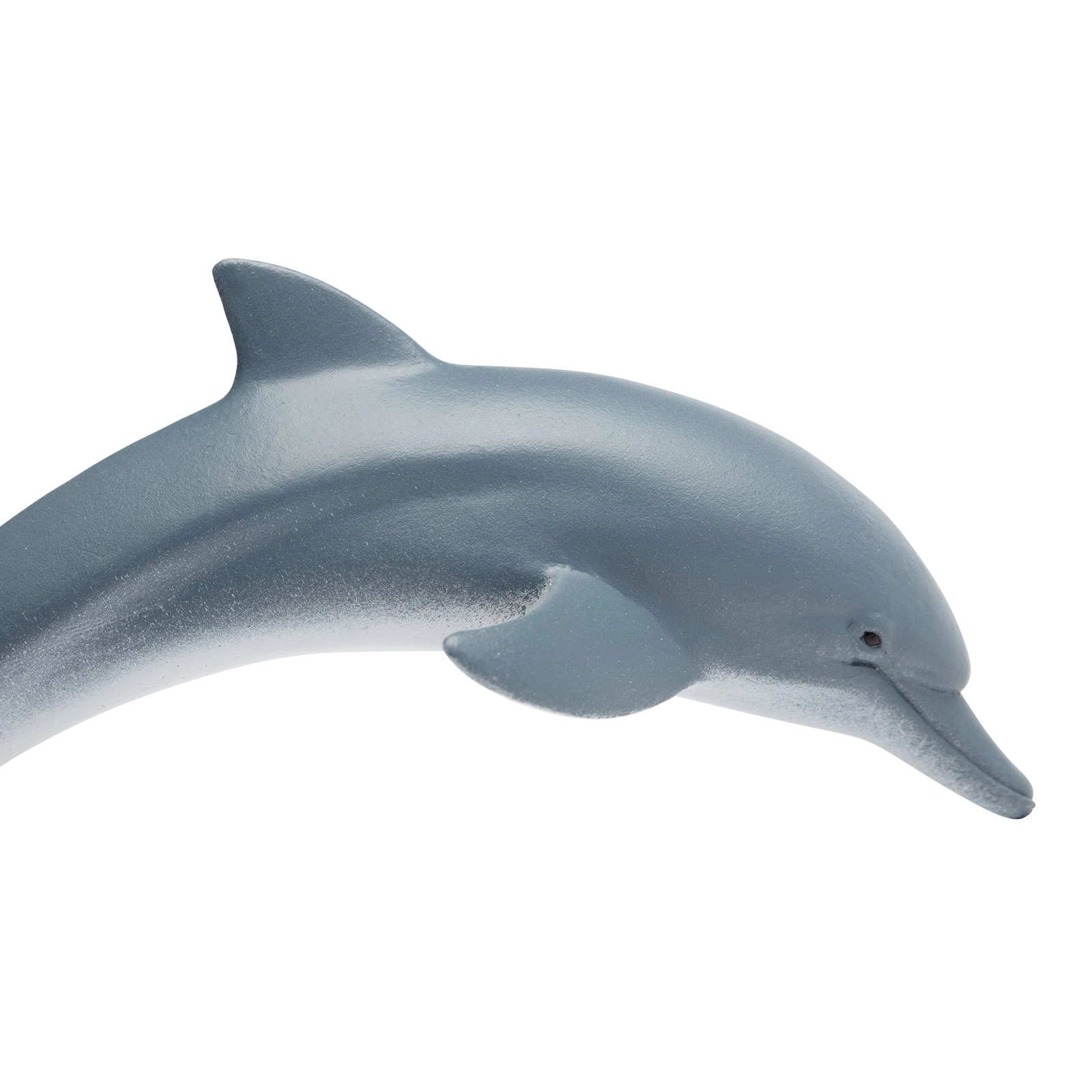 Safari Ltd. - Dolphin Kids Toy Figure