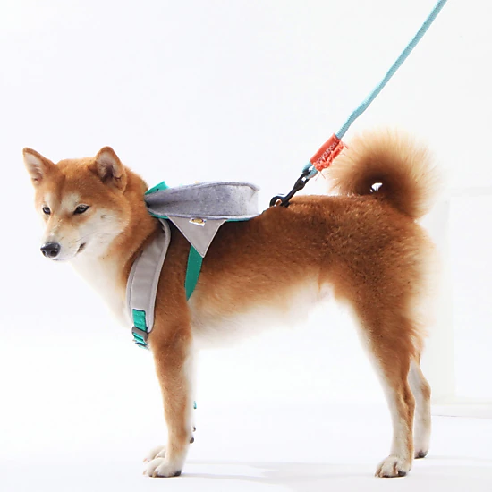 Touchdog ® Owl Designer Large-Pocketed Velcro Dog Backpack and Harness ...