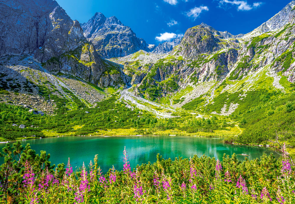 CASTORLAND 1000 Piece Jigsaw Puzzles, Zelene Pleso, Tatras, Slovakia, Mountains landscape, Nature puzzles, C-105267-2
