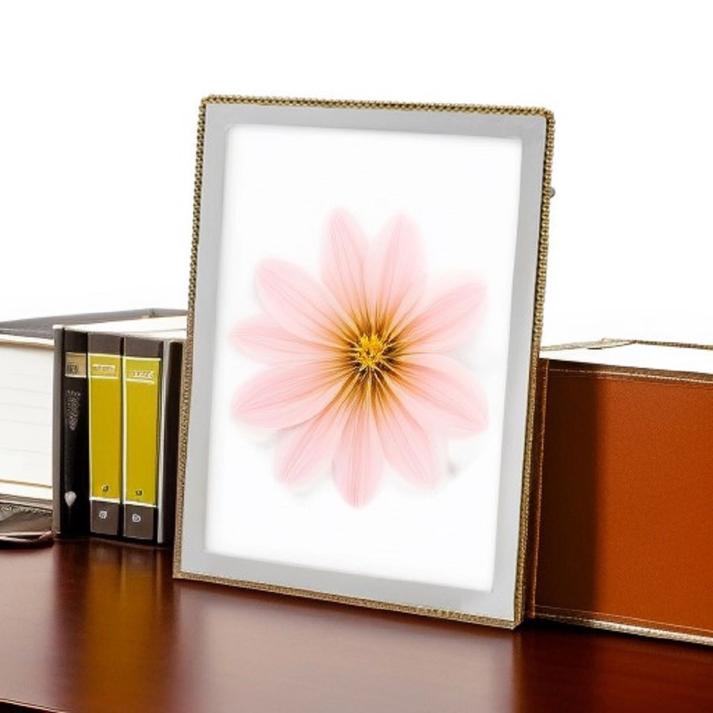 Jiallo Silver Tone Photo Frame W/ Gold Accent Bead Rim 4 x 6"