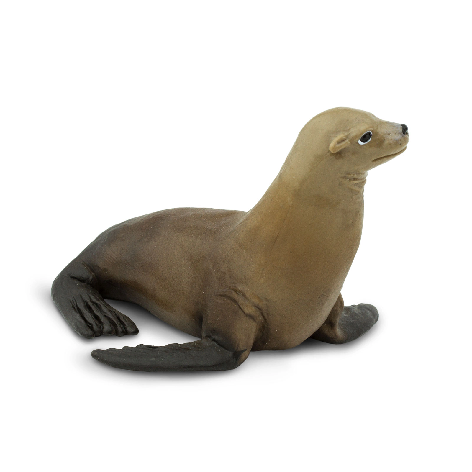 Safari Ltd. - Sea Lion Kids Toy Figure