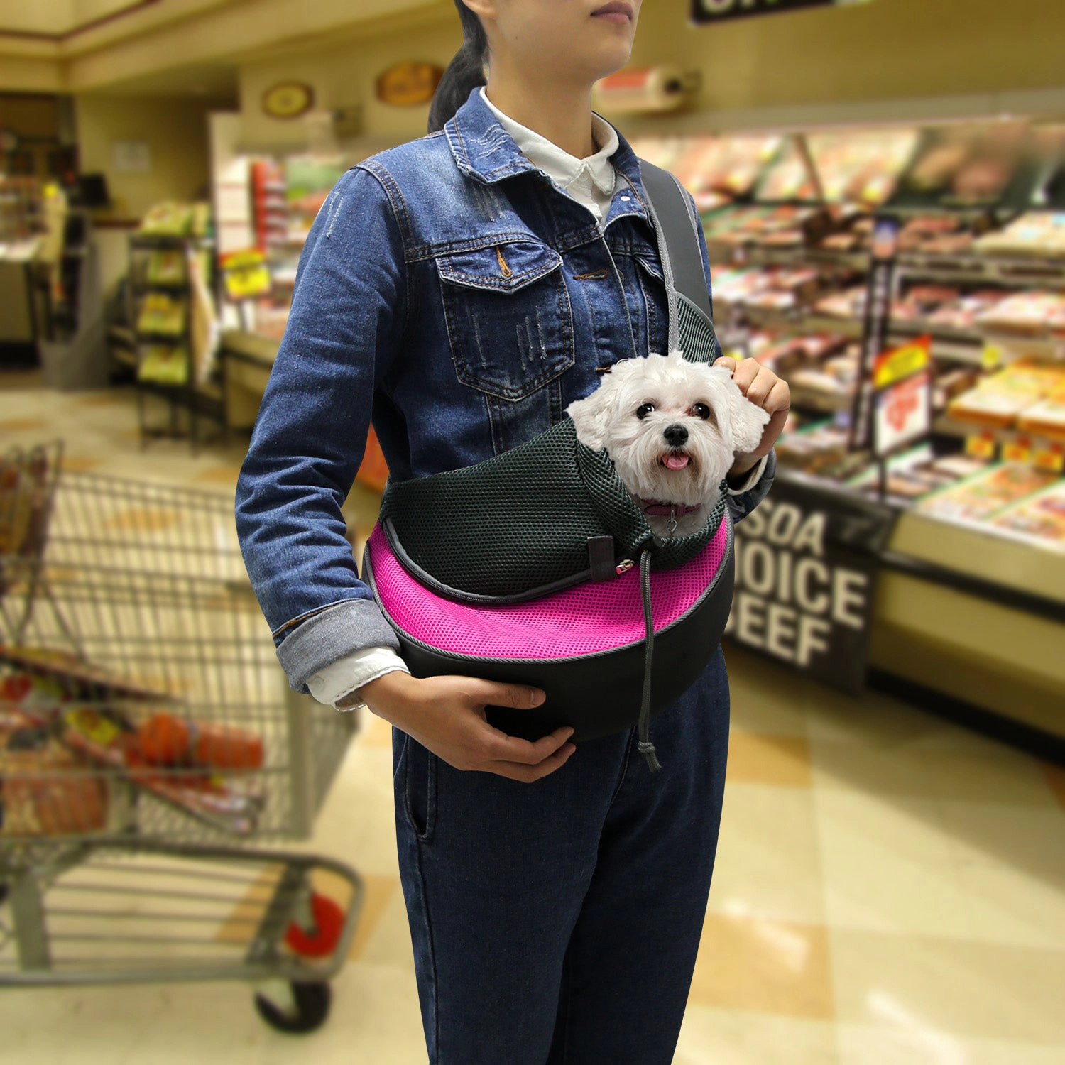 GBruno Padded Hands-Free Pet Carrier Sling Bag