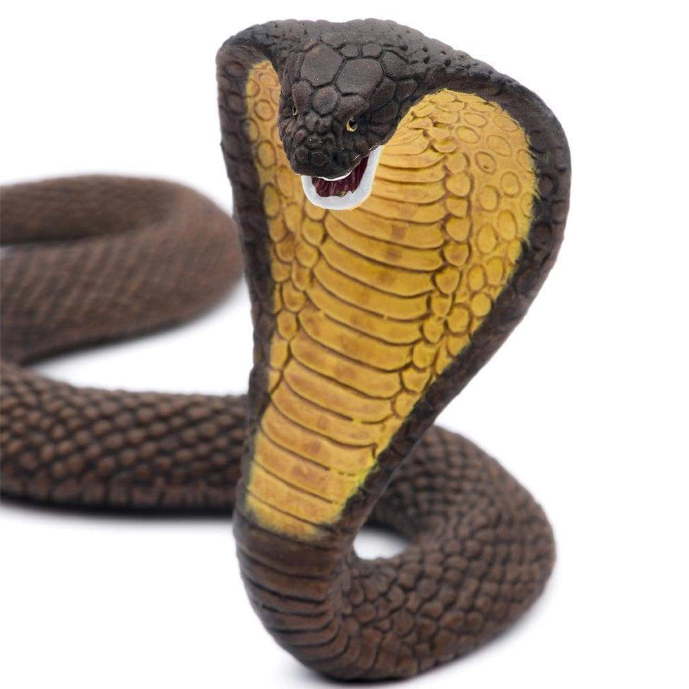 Safari Ltd. - Cobra Kids Toy Figure