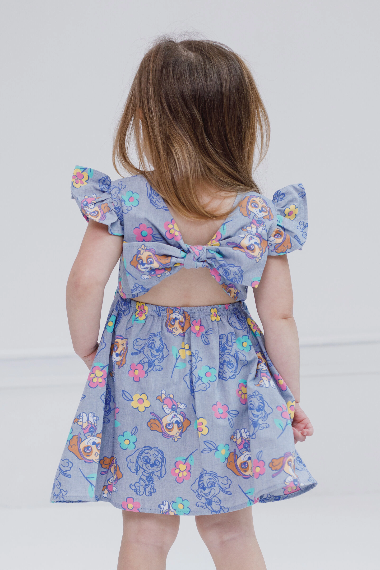 Paw Patrol Skye Girls' Chambray Dress