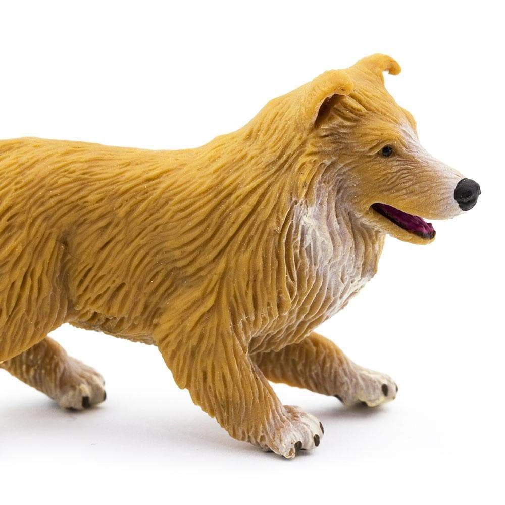 Safari Ltd. - Collie Puppy Kids Toy Figure