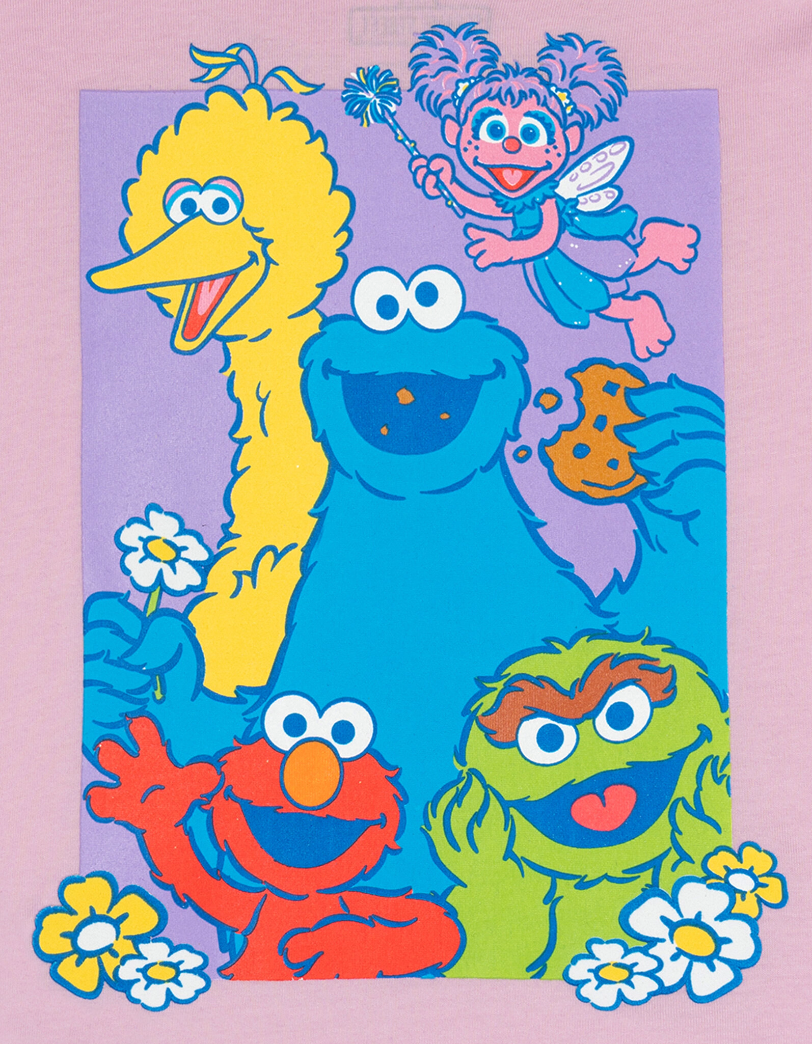 Sesame Street Girls' T-Shirt & Shorts Set