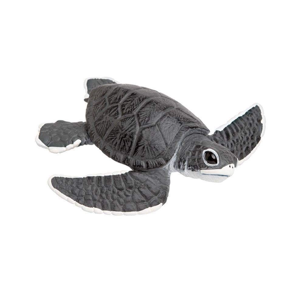 Safari Ltd. - Sea Turtle Baby Kids Toy Figure