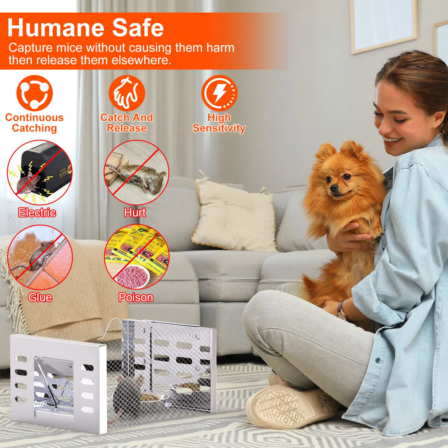 GBruno 2-Pc Humane Mouse Trap Catch And Release Cage