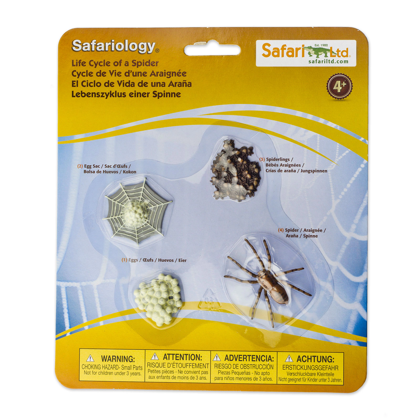 Safari Ltd. - Life Cycle of a Spider - Miniature Lifecycle Collection Toy