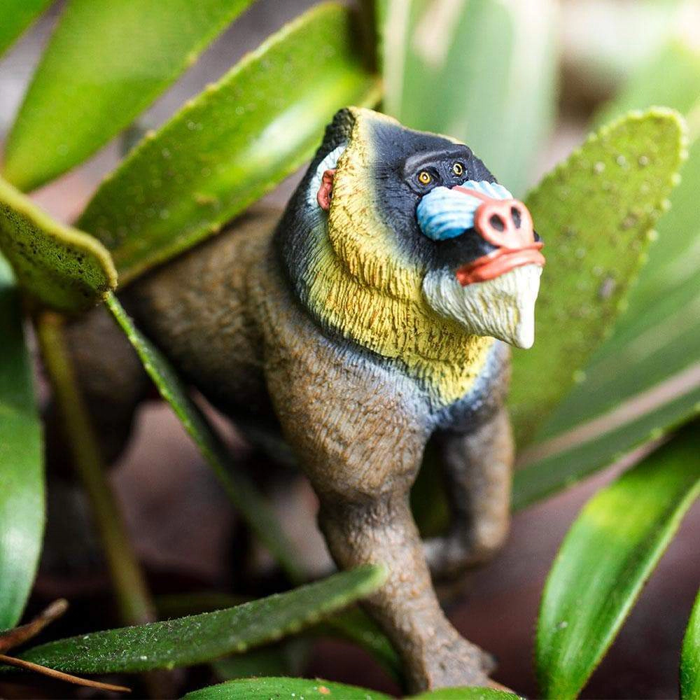 Safari Ltd. - Mandrill Kids Toy Figure