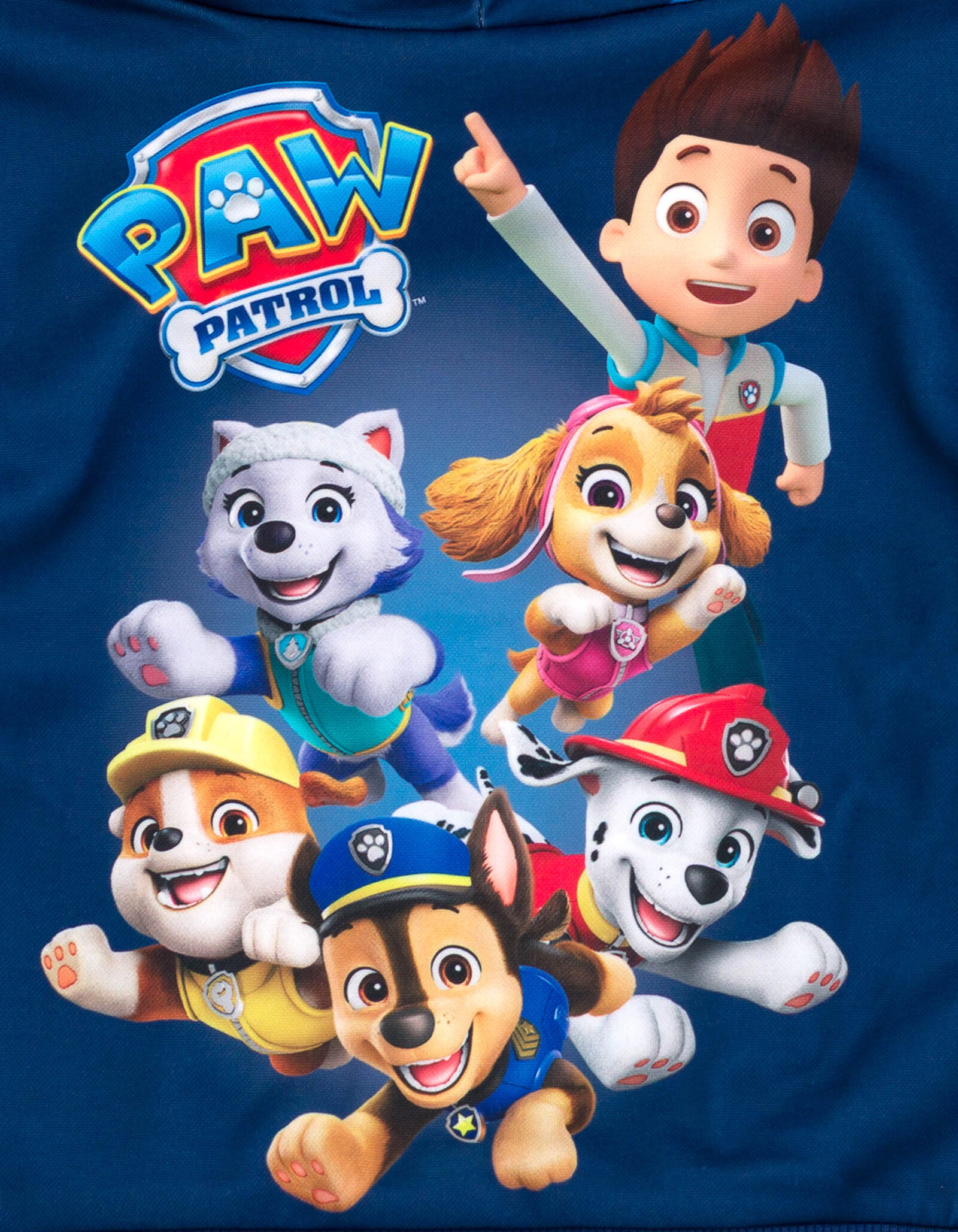 Paw Patrol Boys' Athletic Fleece Hoodie