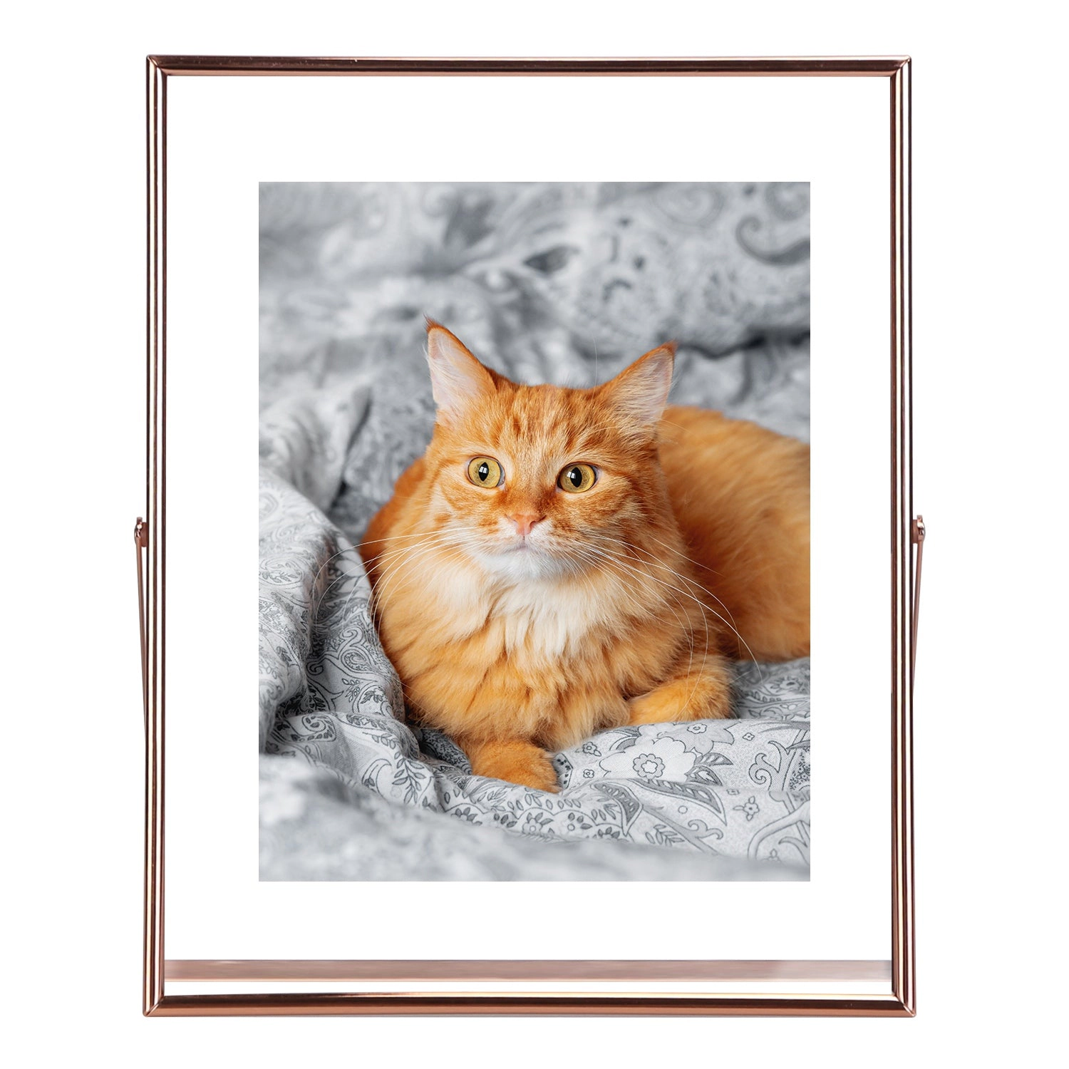 GBruno 2-Piece Rose Gold Metal Picture Frames Set