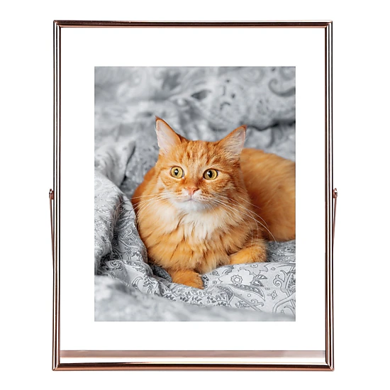 GBruno Rose Gold Metal Picture Frame Set