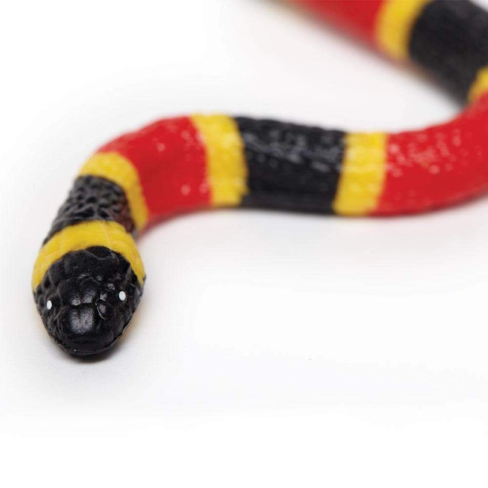Safari Ltd. - Coral Snake Baby Kids Toy Figure