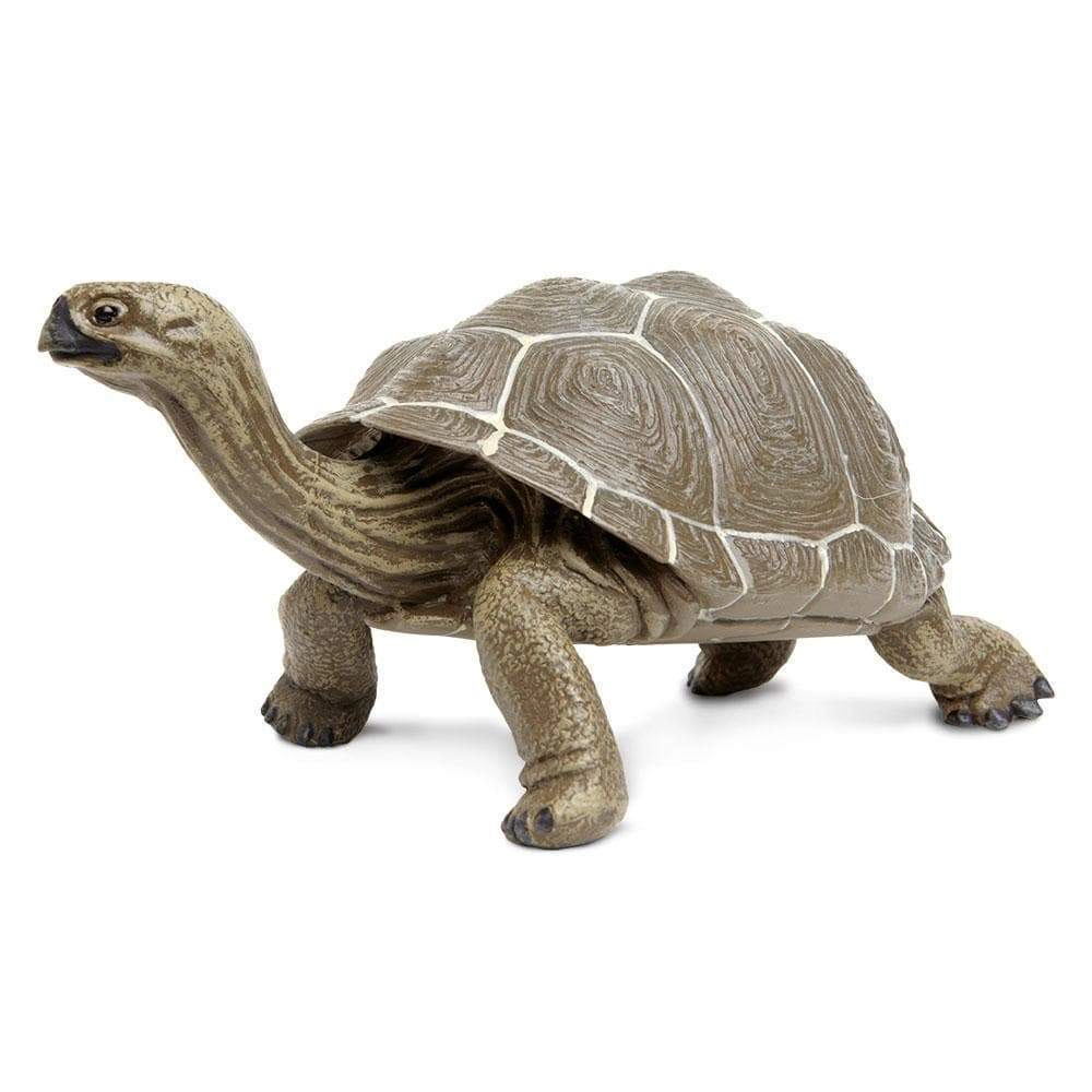 Safari Ltd. - Tortoise Kids Toy Figure