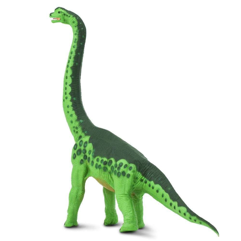 Safari Ltd. - Brachiosaurus Kids Prehistoric/Dinosaur Toy Figure