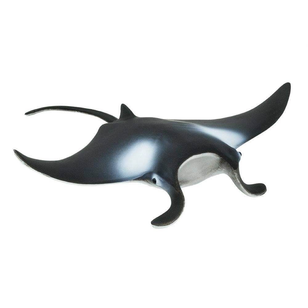 Safari Ltd. - Manta Ray Kids Toy Figure